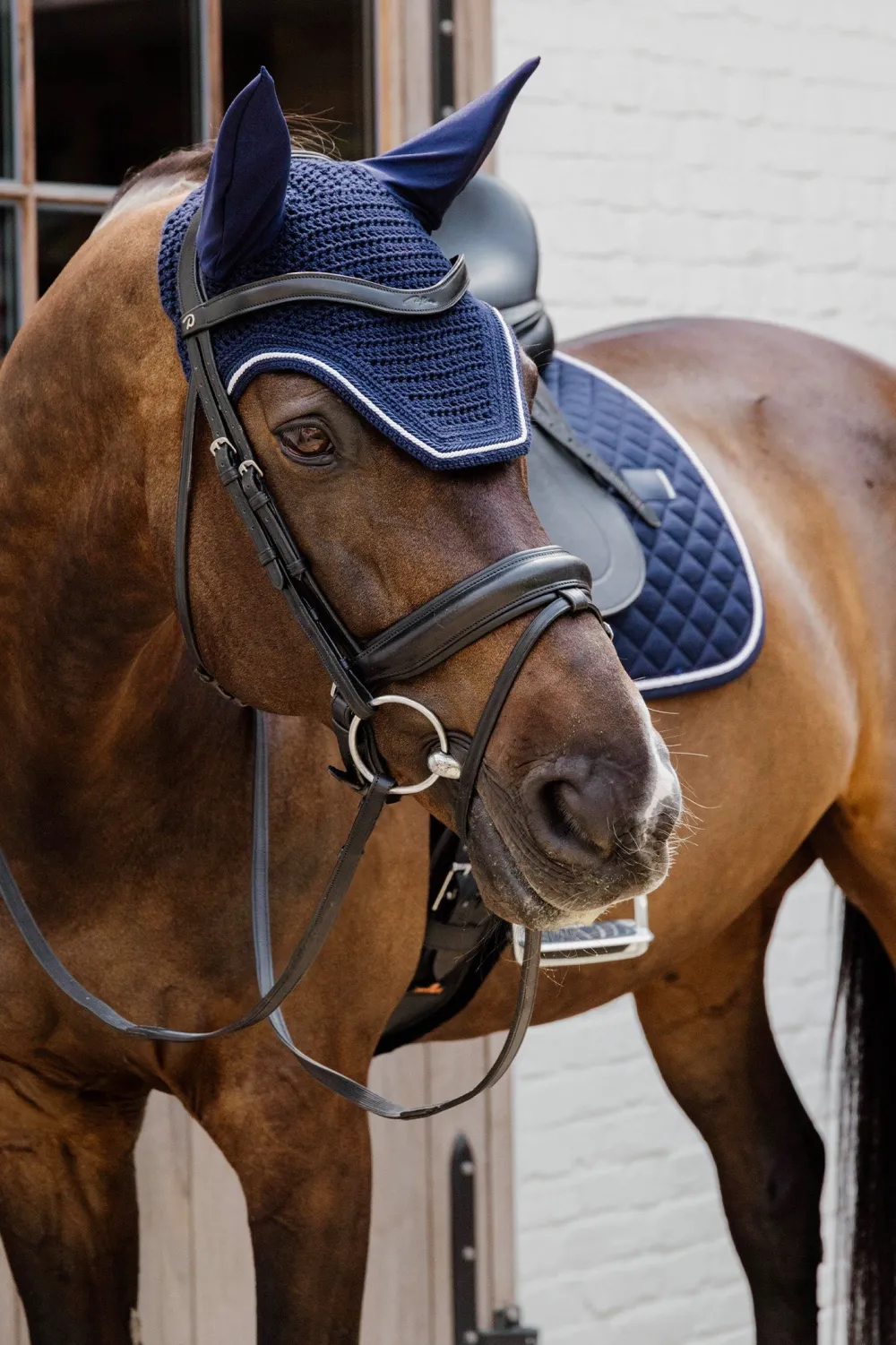 Kentucky Horsewear Kentucky Horsewear|Schabrak & Huvor-Huva Wellington Diamond Rope Navy
