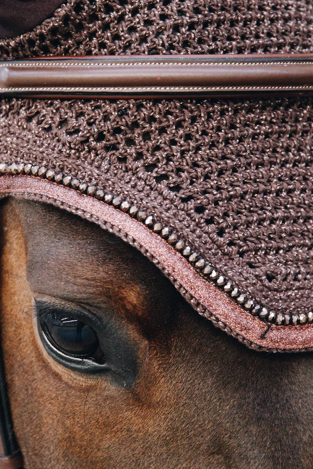Kentucky Horsewear Schabrak & Huvor-Huva Wellington Isolerad Glitter Band Brun