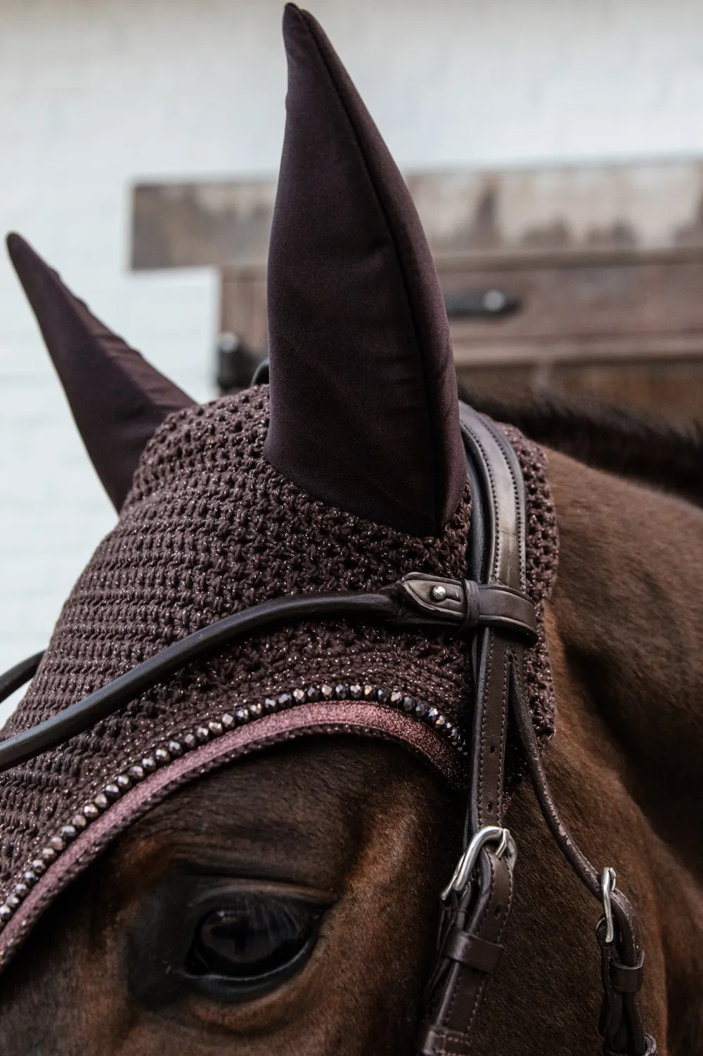 Kentucky Horsewear Schabrak & Huvor-Huva Wellington Isolerad Glitter Band Brun