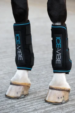 Horseware Horseware|Benskydd & Benlindor-Ice-Vibe Kyldamasker