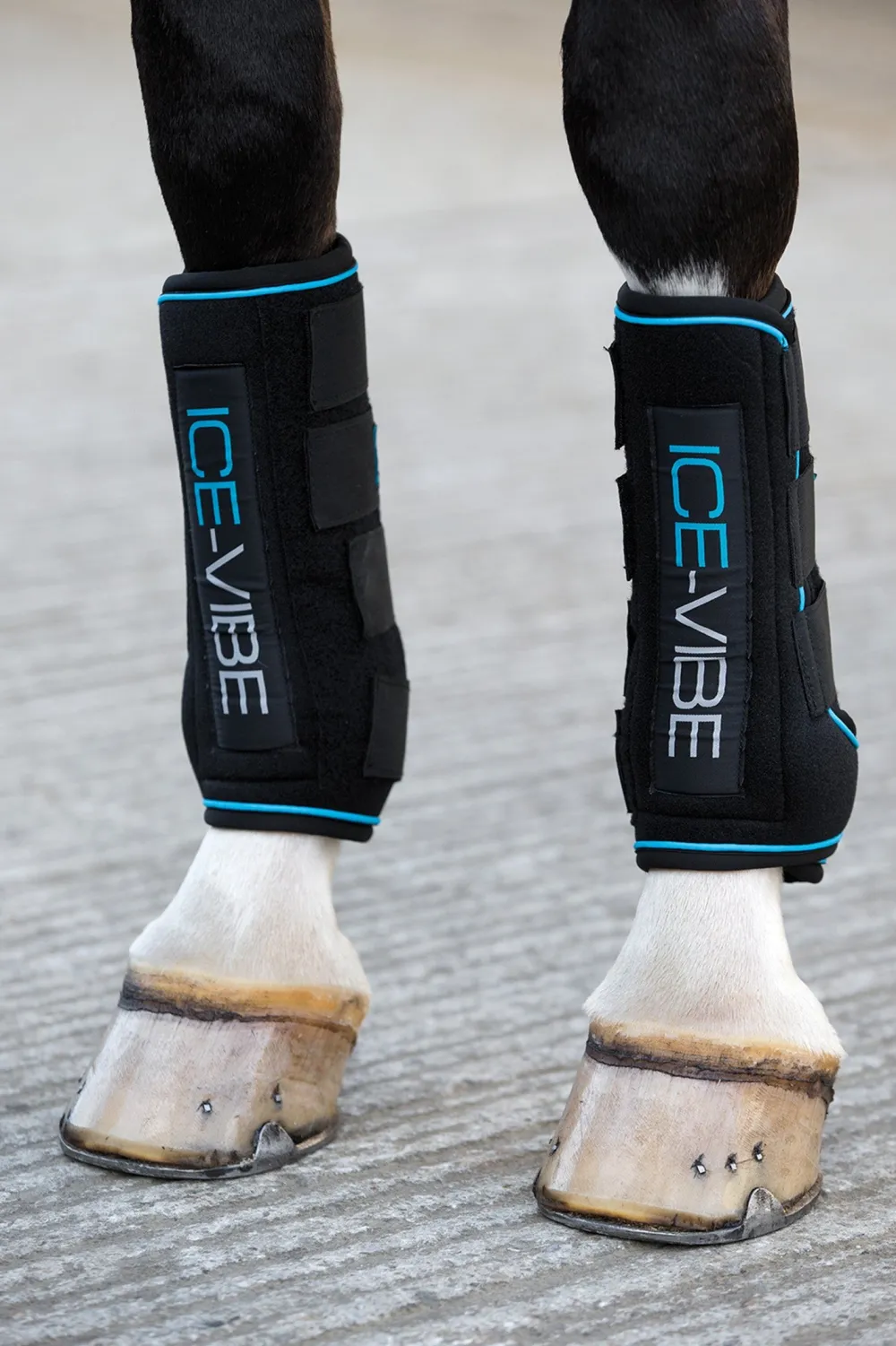Horseware Horseware|Benskydd & Benlindor-Ice-Vibe Kyldamasker