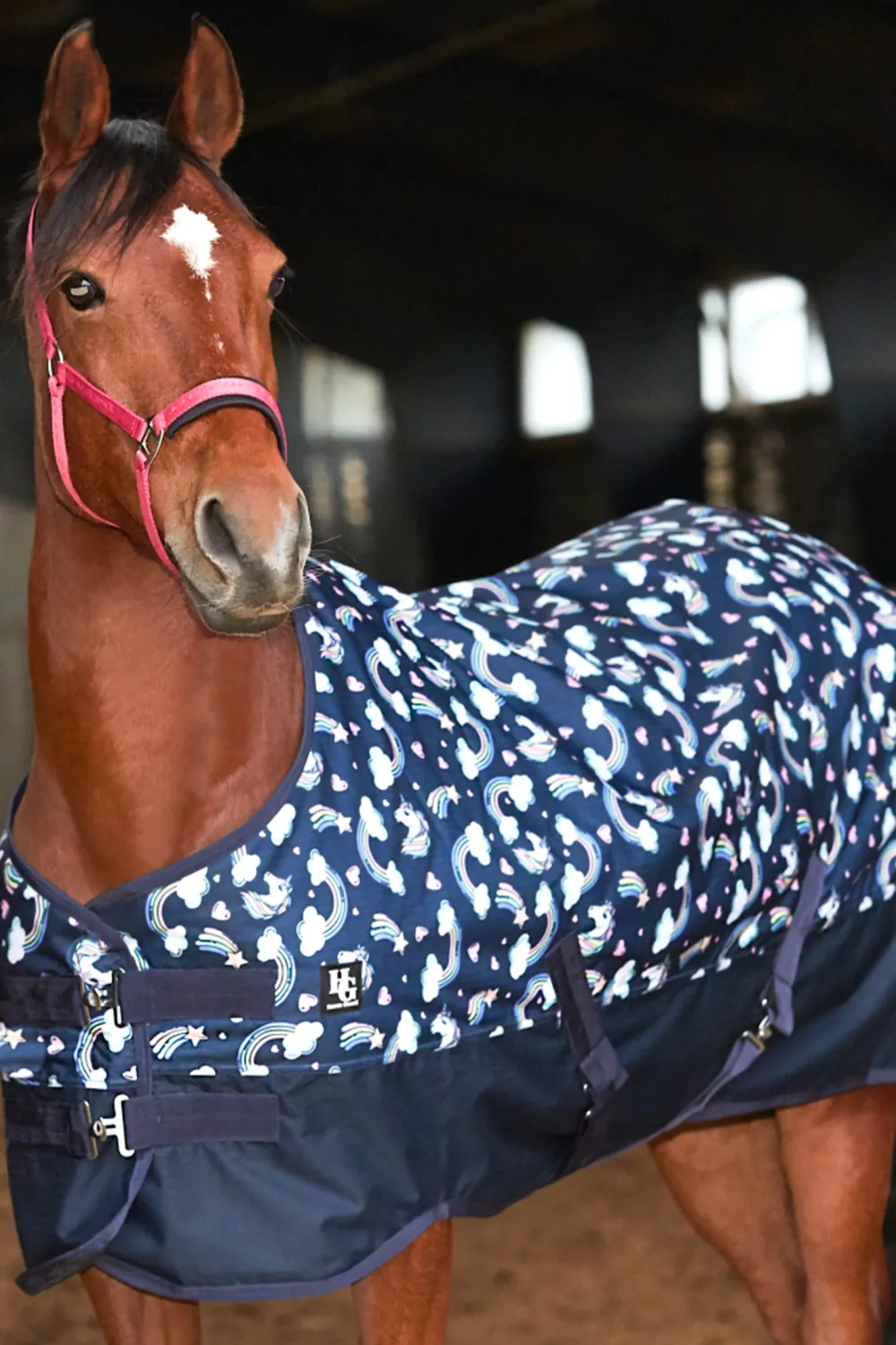 Horse Guard Horse Guard-Joh Pony Turnout 100g