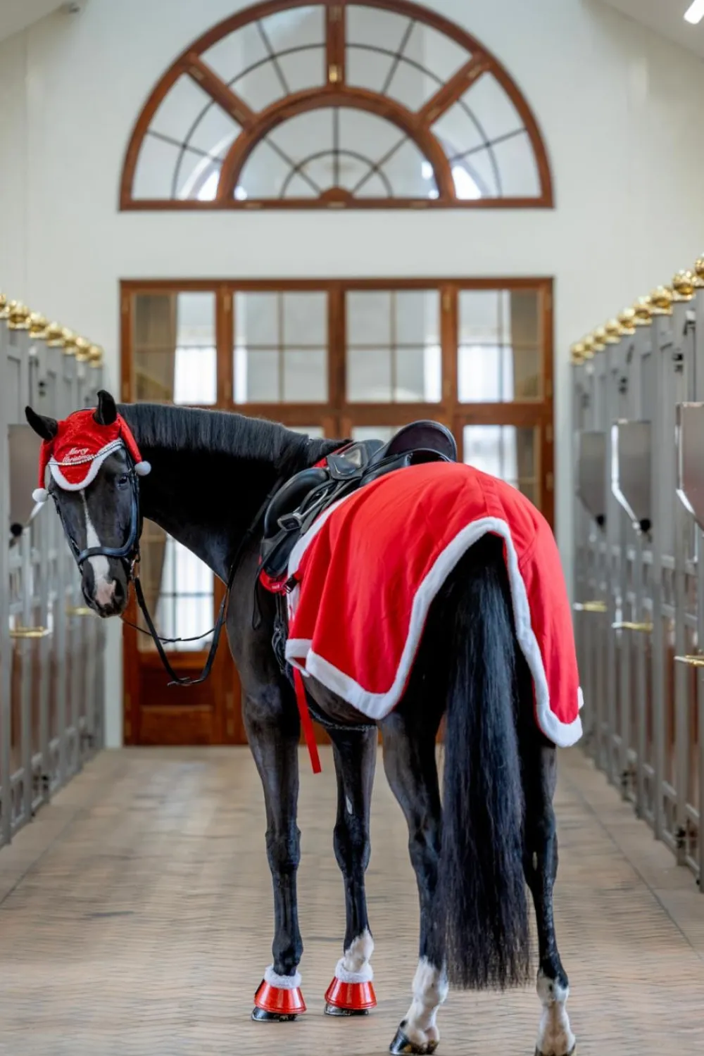 Horse Guard Horse Guard-Jul ländtäcke Röd