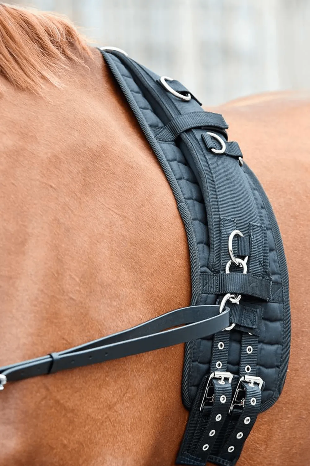 Horse Guard Sadlar & Sadelpaddar|Tömkörning & Longering-Kali Longeringspad