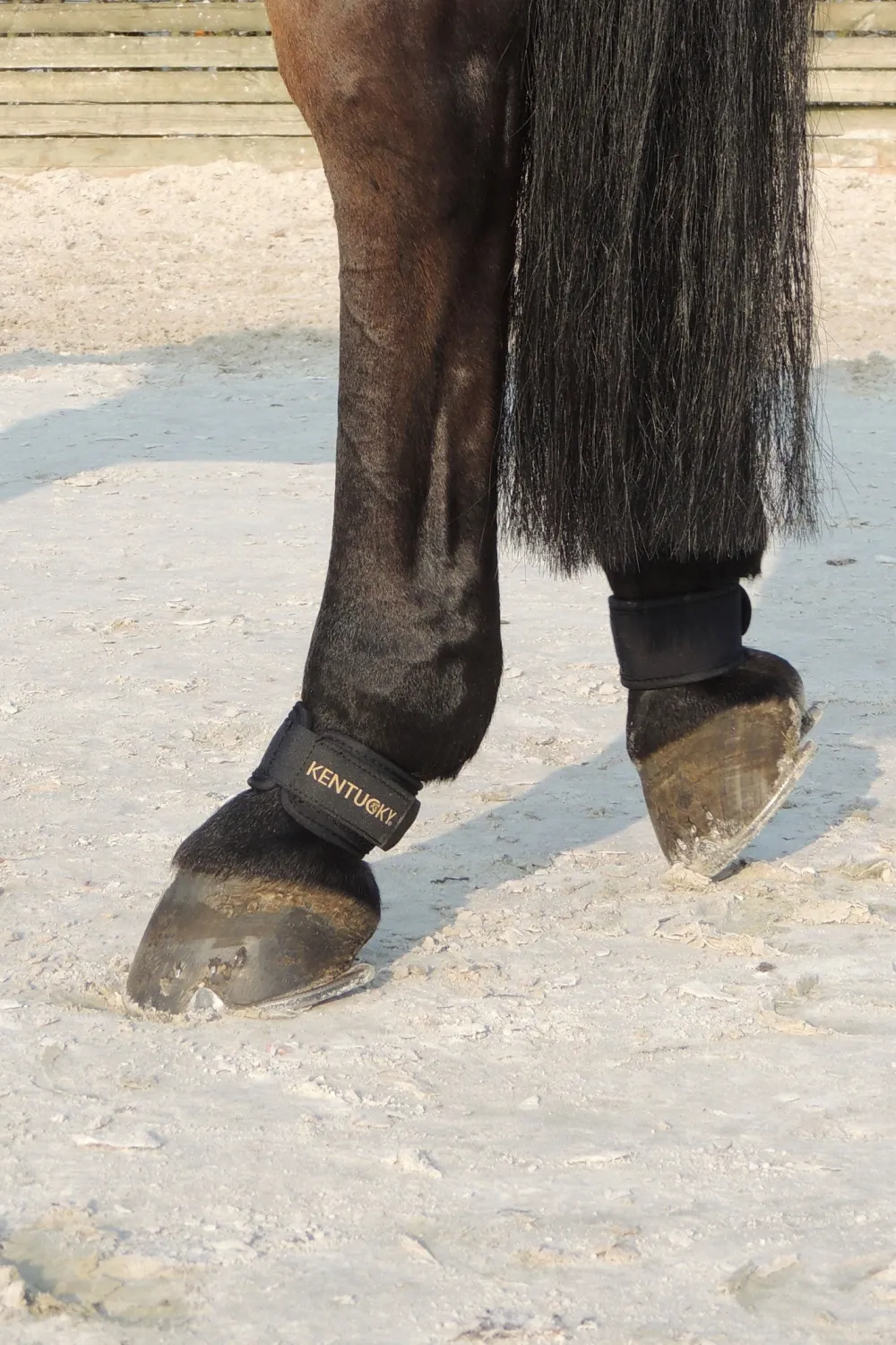 Kentucky Horsewear Benskydd & Benlindor-Karledsskydd Svart