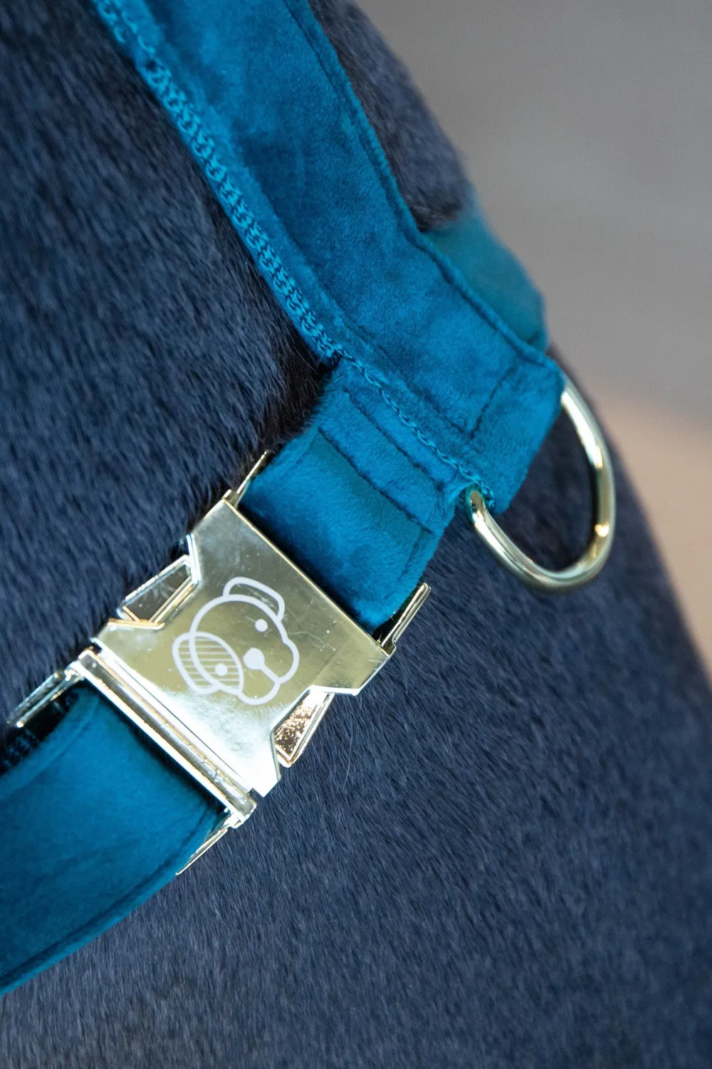 Kentucky Dogwear Kentucky Dogwear-Kentucky Hundee Vevet Eerad