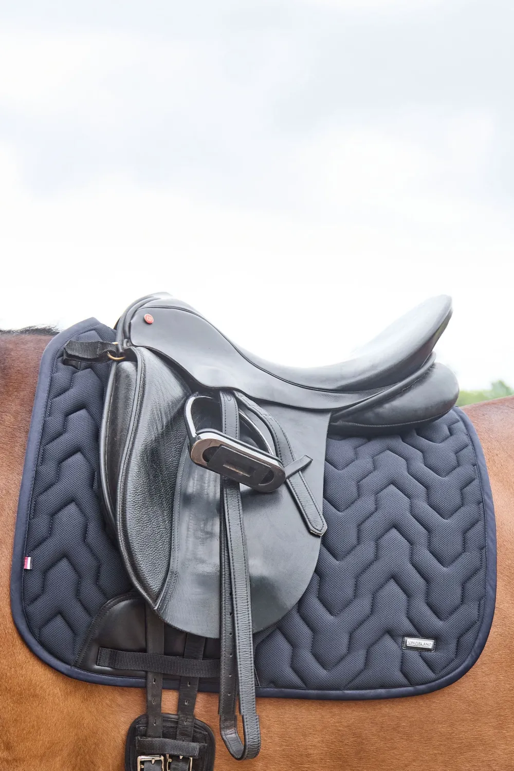 Kingsland Kingsland|Schabrak & Huvor-KLnelly Dressyrschabrak Navy