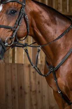 Dyón Träns & Pannband|Dyón-Kort Martingal Till Brösta Working Collection Svart