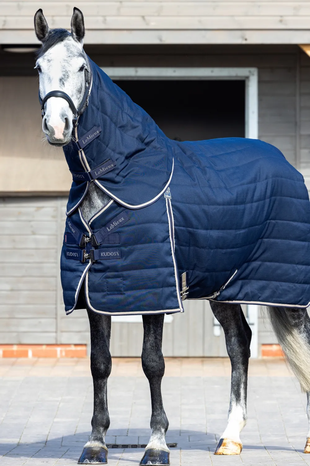 LeMieux Hästtäcken & Flughuvor|Lemieux-Kudo Ha ti tatäcke 50g Navy