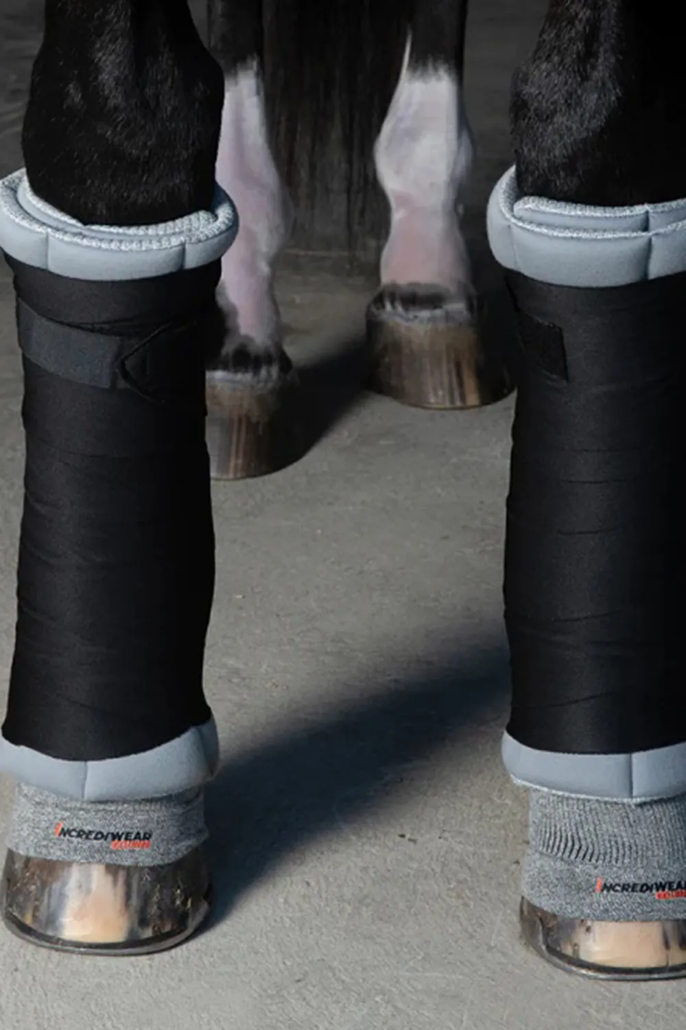 Incrediwear Incrediwear Equine-Kyande Hovtrupor Grå