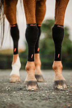 Incrediwear Incrediwear Equine|Benskydd & Benlindor-Kylande Hovstrumpor Svart