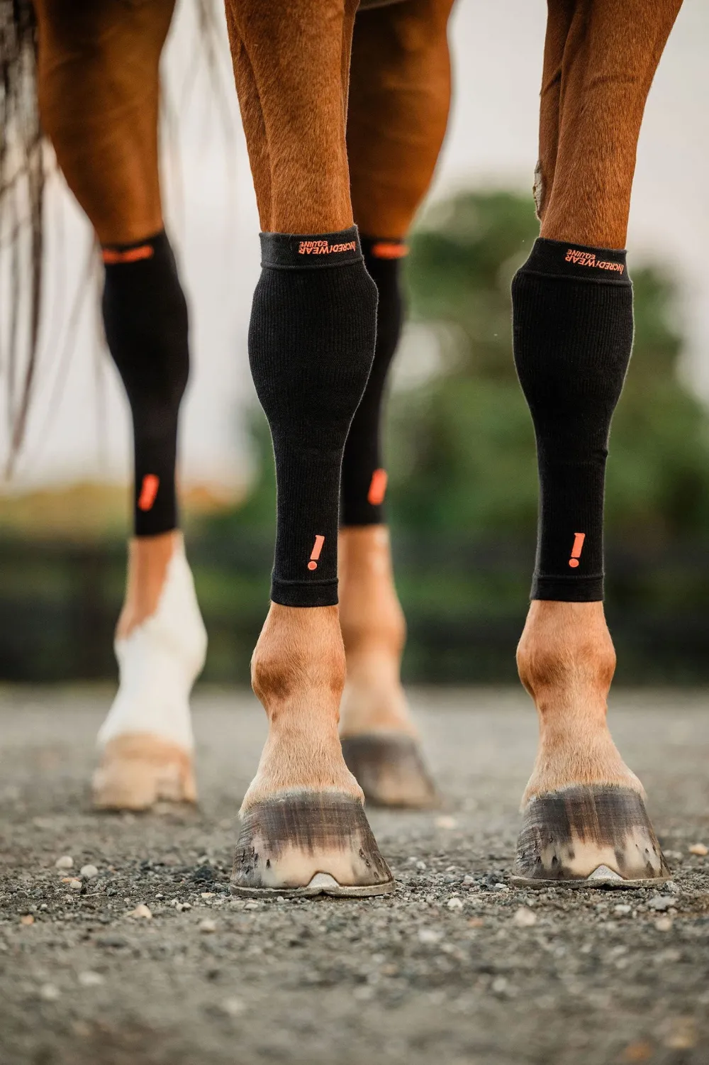 Incrediwear Incrediwear Equine|Benskydd & Benlindor-Kylande Hovstrumpor Svart