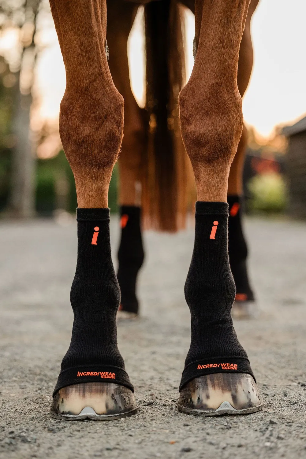 Incrediwear Incrediwear Equine|Benskydd & Benlindor-Kylande Hovstrumpor Svart