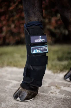 Kentucky Horsewear Benskydd & Benlindor-Kylskydd Svart 2-pack