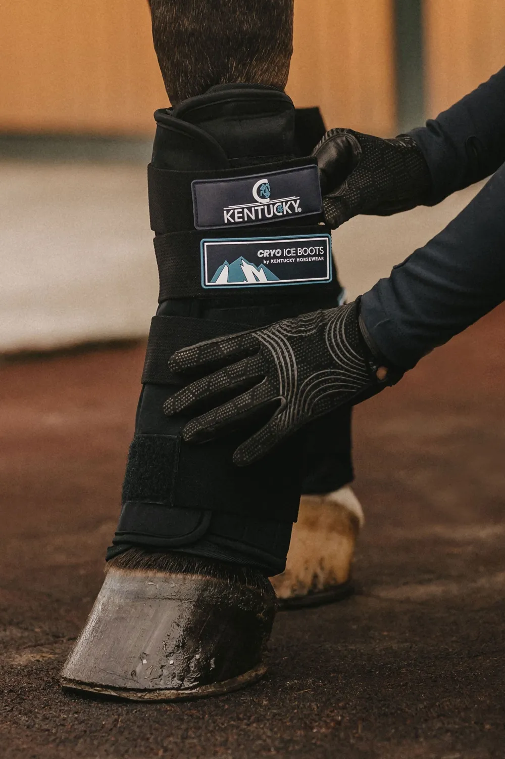 Kentucky Horsewear Benskydd & Benlindor-Kylskydd Svart 2-pack