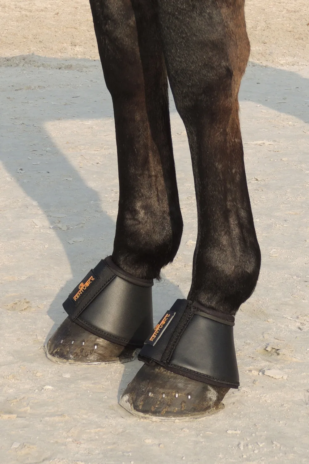 Kentucky Horsewear Benskydd & Benlindor-äderboots Svart