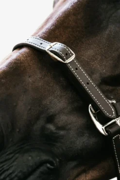 Kentucky Horsewear Grimmor & Grimskaft-Lädergrimma Flexible Brun