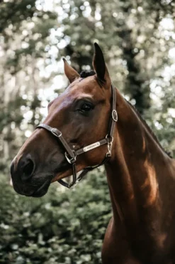 Kentucky Horsewear Grimmor & Grimskaft-Lädergrimma Flexible Brun