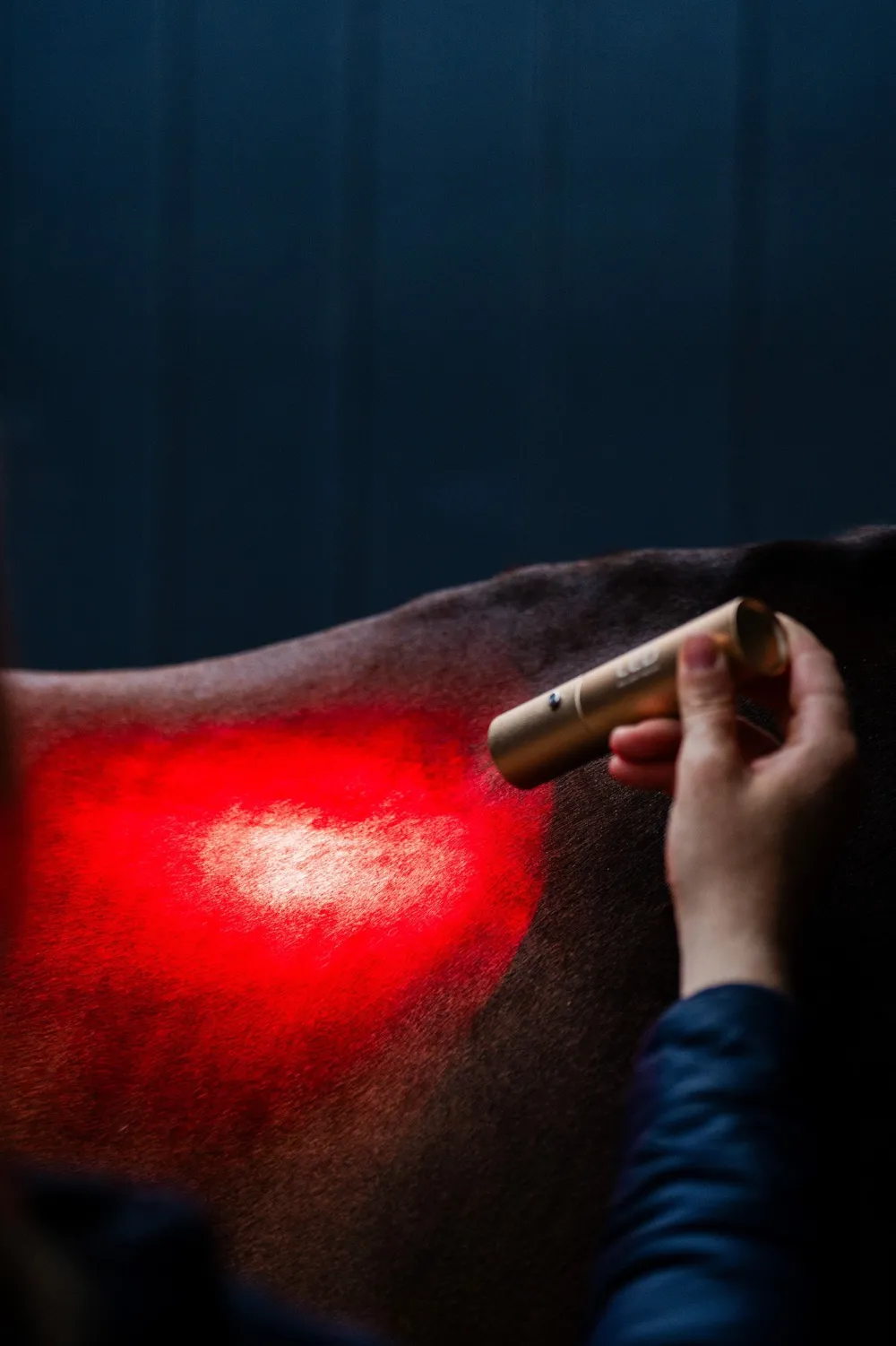 Horseware Horseware-ED tav Infraröd