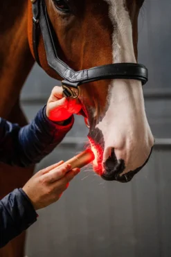Horseware Horseware-ED tav Infraröd