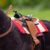 Barn LeMieux Leksakshästar|Lemieux-Leksakshäst Western Sadel