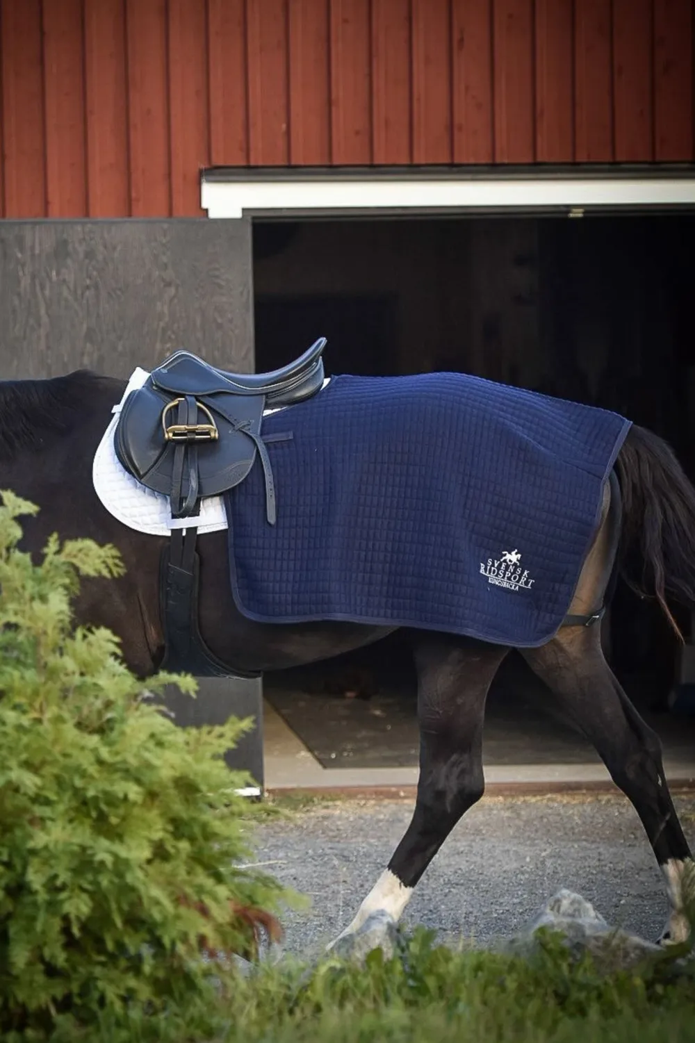 Svensk Ridsport Hästtäcken & Flughuvor-Ländtäcke Thermatex Navy