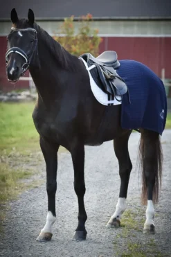 Svensk Ridsport Hästtäcken & Flughuvor-Ländtäcke Thermatex Navy