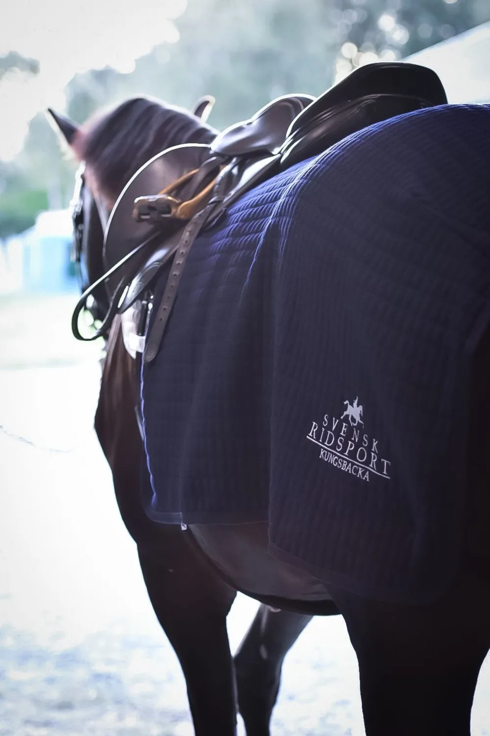 Svensk Ridsport Hästtäcken & Flughuvor-Ländtäcke Thermatex Navy