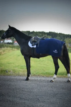 Svensk Ridsport Hästtäcken & Flughuvor-Ländtäcke Thermatex Navy