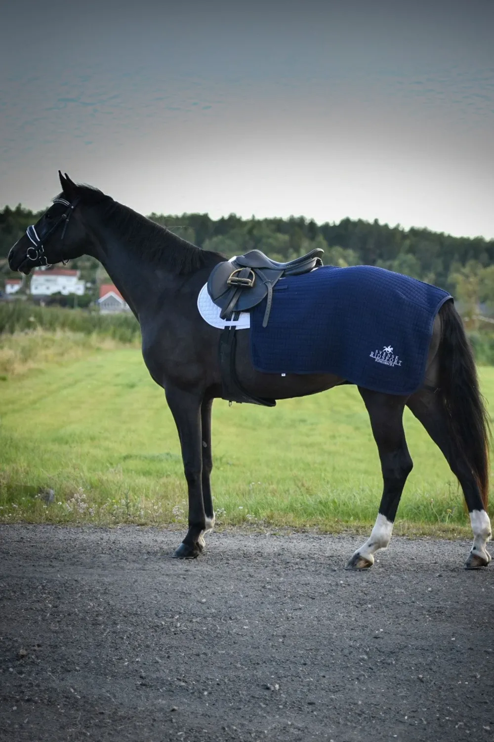 Svensk Ridsport Hästtäcken & Flughuvor-Ländtäcke Thermatex Navy