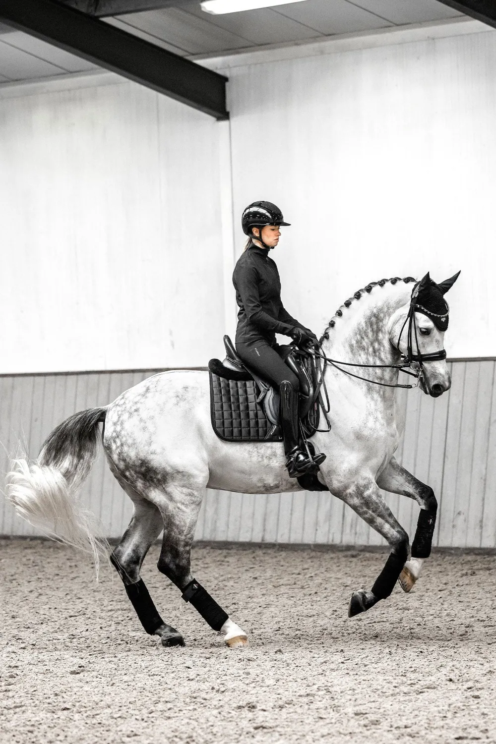 LeMieux Schabrak & Huvor|Lemieux-oire Cassic Dressyrschabrak Svart