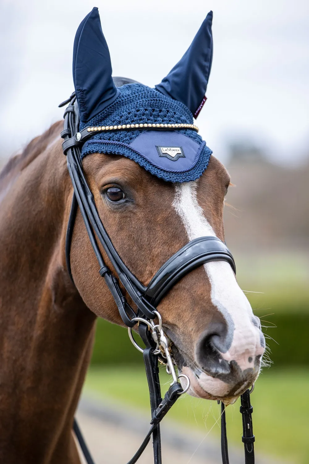 LeMieux Schabrak & Huvor|Lemieux-oire Huva Navy