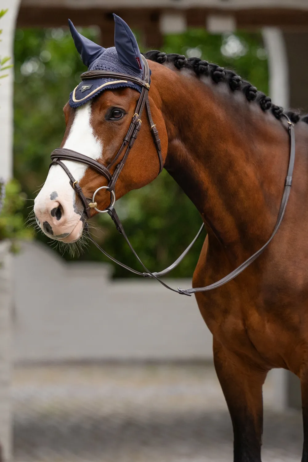 LeMieux Schabrak & Huvor|Lemieux-oire Huva Navy