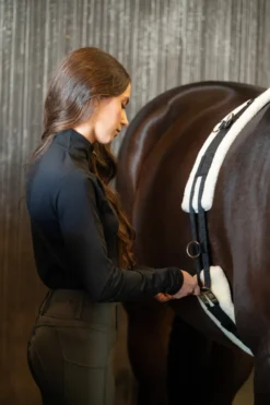 Horse Guard Tömkörning & Longering|Horse Guard-Longeringsgjord med Ludd
