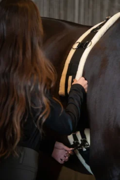 Horse Guard Tömkörning & Longering|Horse Guard-Longeringsgjord med Ludd
