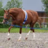 QHP Qhp|Tömkörning & Longering-Longerlina i Väska Cobalt blue