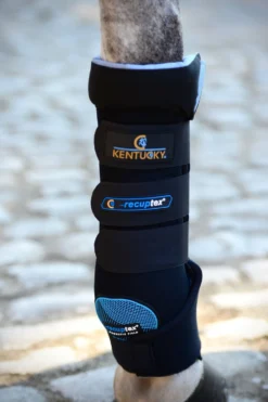 Kentucky Horsewear Benskydd & Benlindor-agnetic Ska Svart