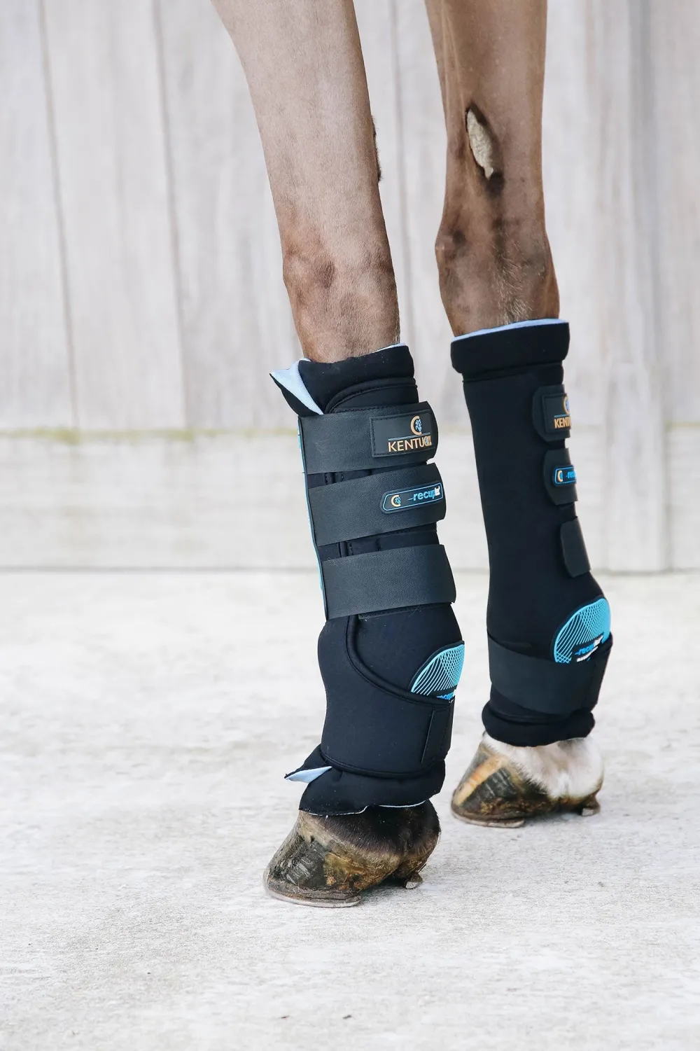 Kentucky Horsewear Benskydd & Benlindor-Magnetic Stallbandage Recuptex