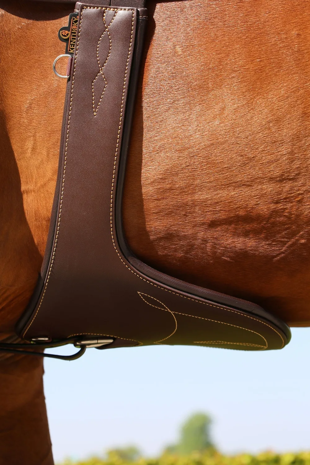 Kentucky Horsewear Kentucky Horsewear|Sadelgjordar & Tillbehör-Magplatta Brun