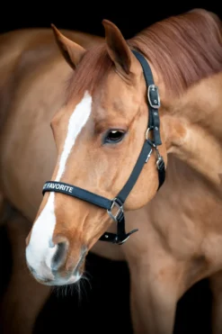 Horse Guard Grimmor & Grimskaft|Horse Guard-Malva Grimma