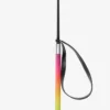 Equipage Equipage|Ridsporrar & Ridspön-Meek Ridspö Rainbow