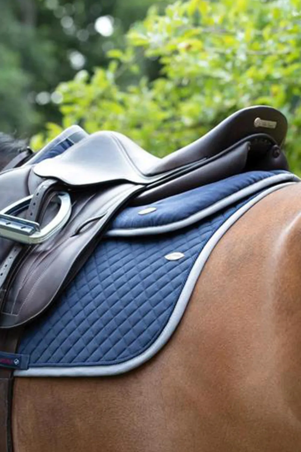 LeMieux Lemieux|Sadlar & Sadelpaddar-Memory Foam Padd Navy