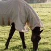 Kentucky Horsewear Hästtäcken & Flughuvor|Kentucky Horsewear-Mesh Flugtäcke Comfort Beige