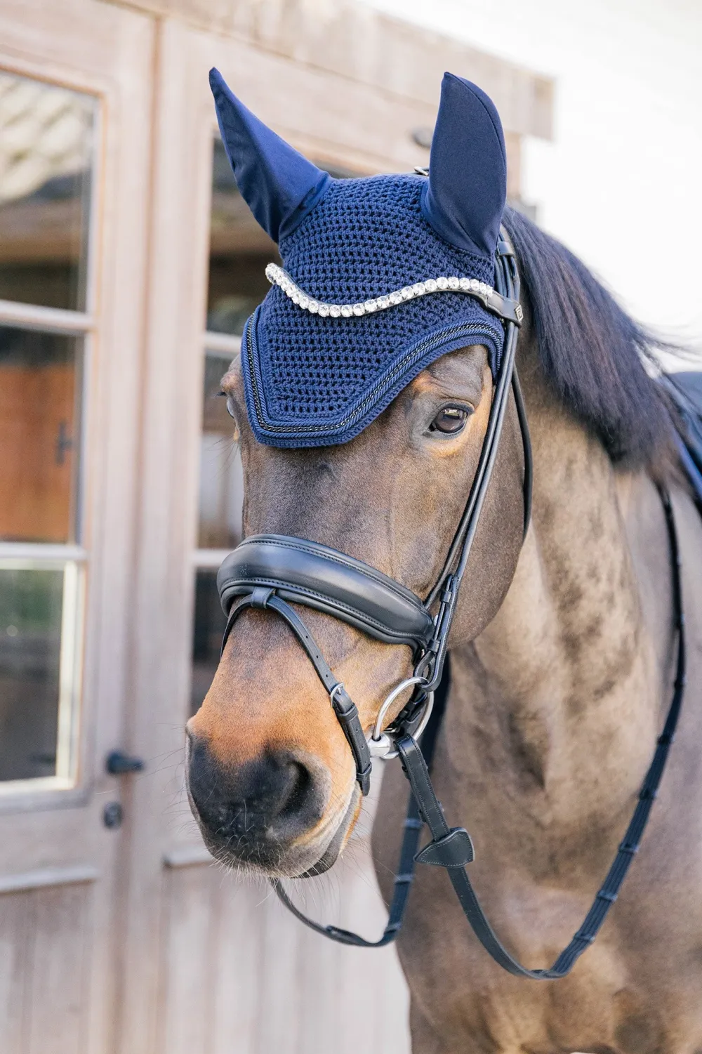 Kentucky Horsewear Kentucky Horsewear|Schabrak & Huvor-Metal Chain Set Navy