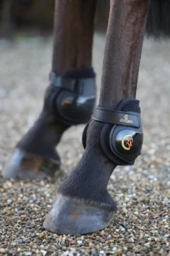 Kentucky Horsewear Benskydd & Benlindor-Moonboots Bakskydd Svart