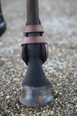 Kentucky Horsewear Kentucky Horsewear|Benskydd & Benlindor-Moonboots Max Bakskydd Brun