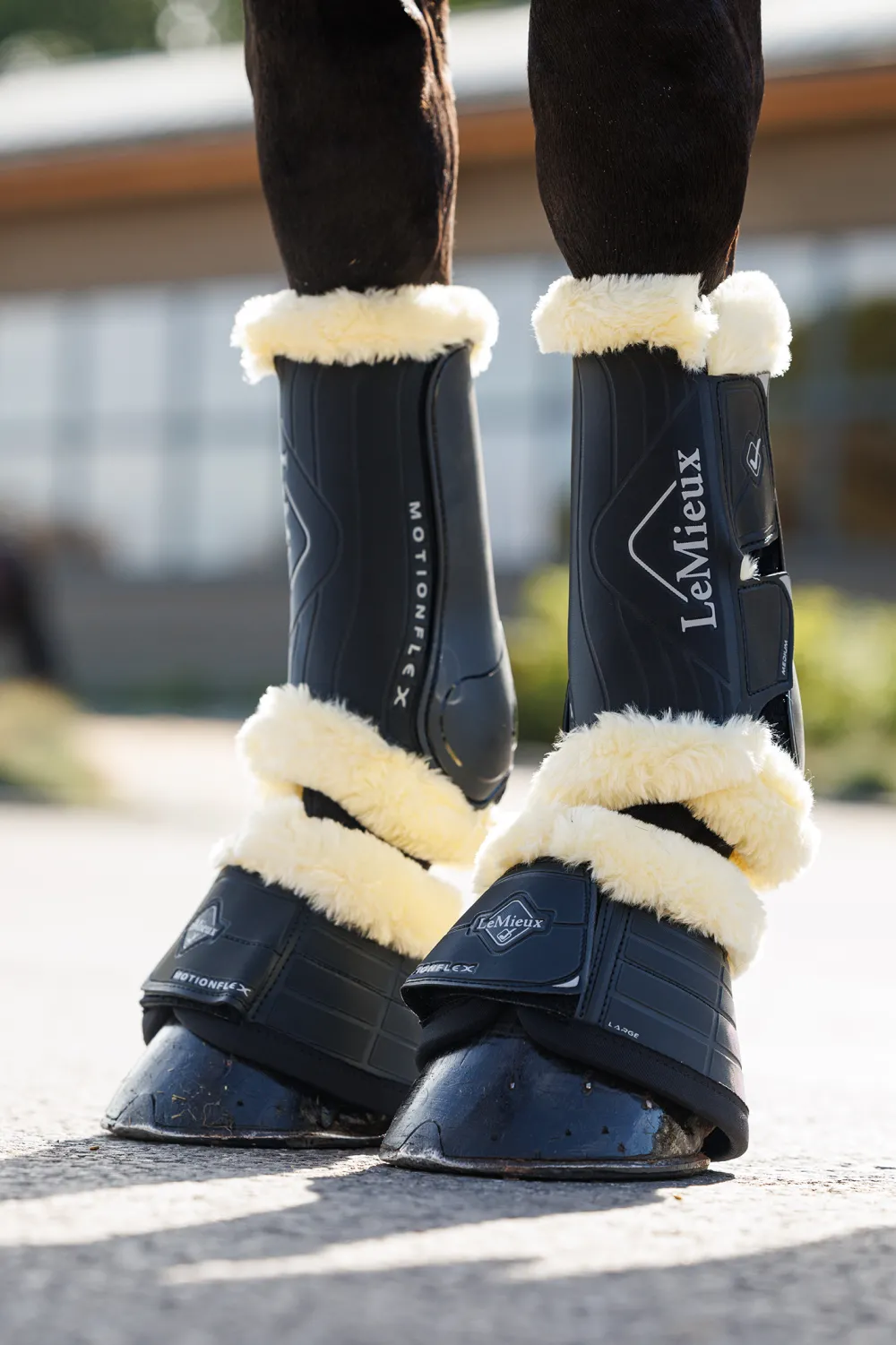 LeMieux Lemieux-otionfex Boots Päs Svart/Cree