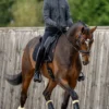 LeMieux Lemieux-Motionflex Dressyrskydd Fårskinn Svart