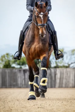 LeMieux Lemieux-Motionflex Dressyrskydd Fårskinn Svart