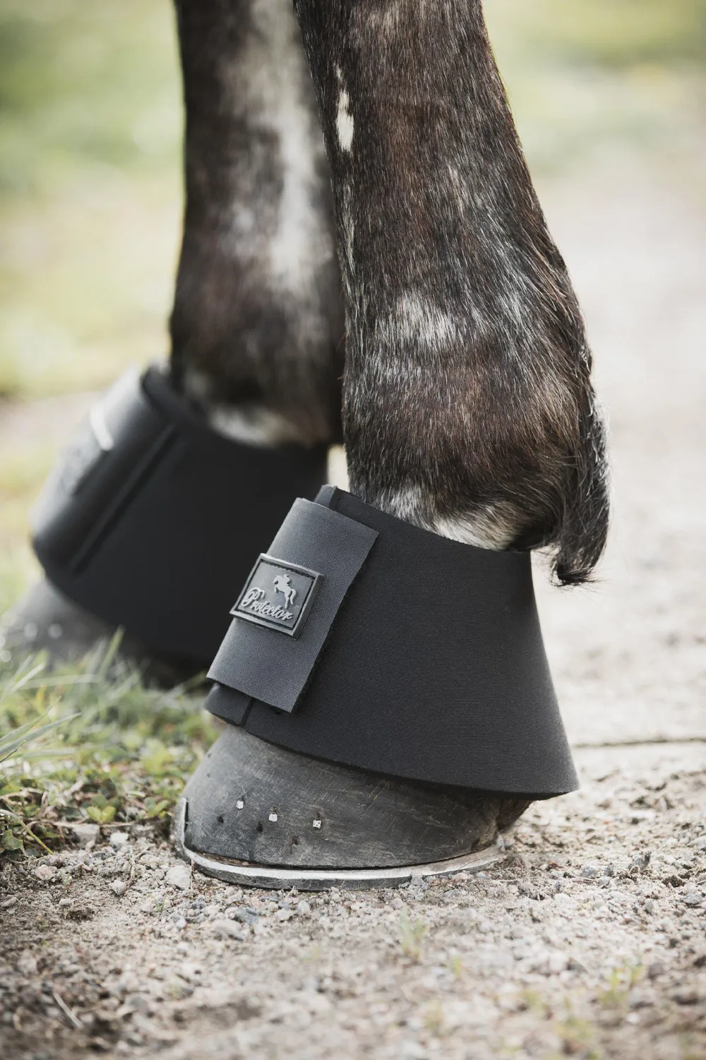 Protector Benskydd & Benlindor-Neopren Boots Svart
